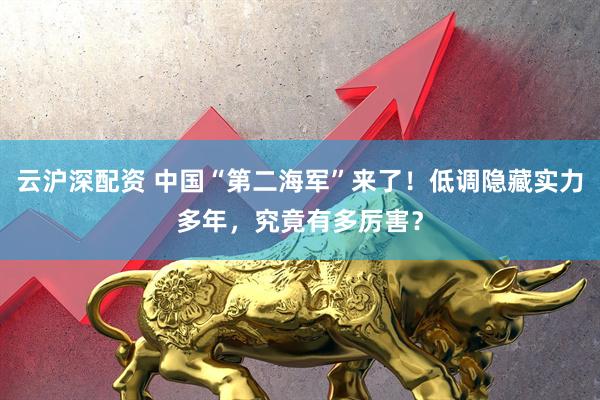 云沪深配资 中国“第二海军”来了！低调隐藏实力多年，究竟有多厉害？