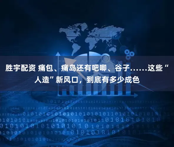 胜宇配资 痛包、痛岛还有吧唧、谷子……这些“人造”新风口，到底有多少成色