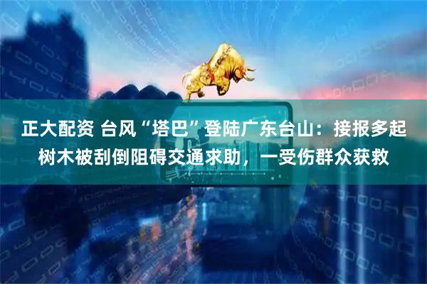 正大配资 台风“塔巴”登陆广东台山：接报多起树木被刮倒阻碍交通求助，一受伤群众获救